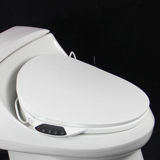 科勒圣拉菲尔一体智简300座便器3722+C3-129 商品图5