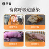 【积分兑换】华畜麻杏石甘口服液500ml  止咳平喘清热宣肺 吸收率高饮水方便 商品缩略图2
