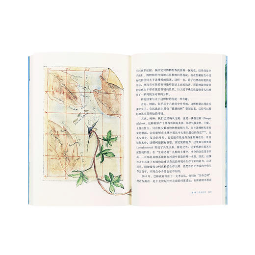 《它们没有脚，但足迹遍天下：不可思议的植物扩张史》植物智能 商品图4