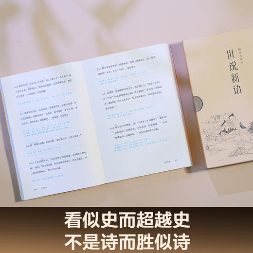 世说新语（2024）中国人说话艺术的教科书。1130则故事完整收录，全文白话翻译，“百家讲坛”刘强教授解注，戴建业推荐 商品图4