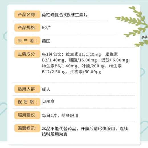 荷柏瑞进口复合维生素B族60粒 商品图1