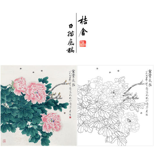 周彦生花鸟工笔画白描底稿《富贵长驻》临摹勾线高清打印稿A665 商品图0