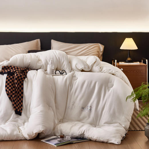 自然醒 SILVER HREAD A类莱赛尔抑菌被100天丝单人春秋被子双人加厚保暖冬季被芯母婴级LFS 商品图0