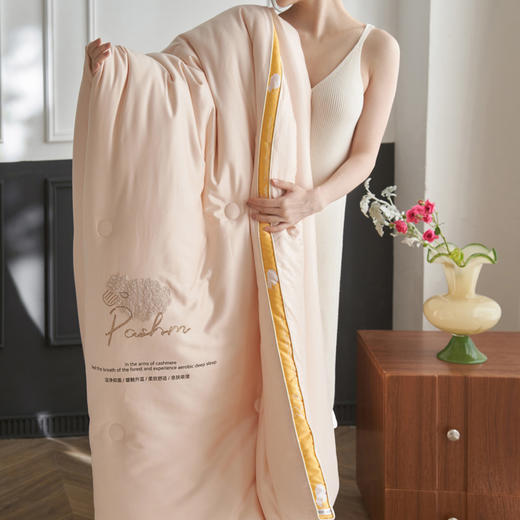 自然醒A类有氧羊绒抗菌冬被柔软保暖加厚被芯家用双人被LFS 商品图12