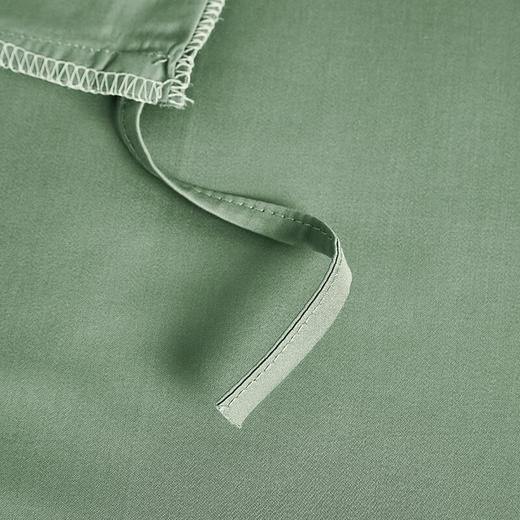 罗莱  简粹60S全棉贡缎四件套 绿色200*230cm 商品图3