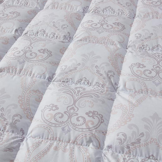 罗莱  A类阻螨雪域鹅绒被200*230cm 商品图1