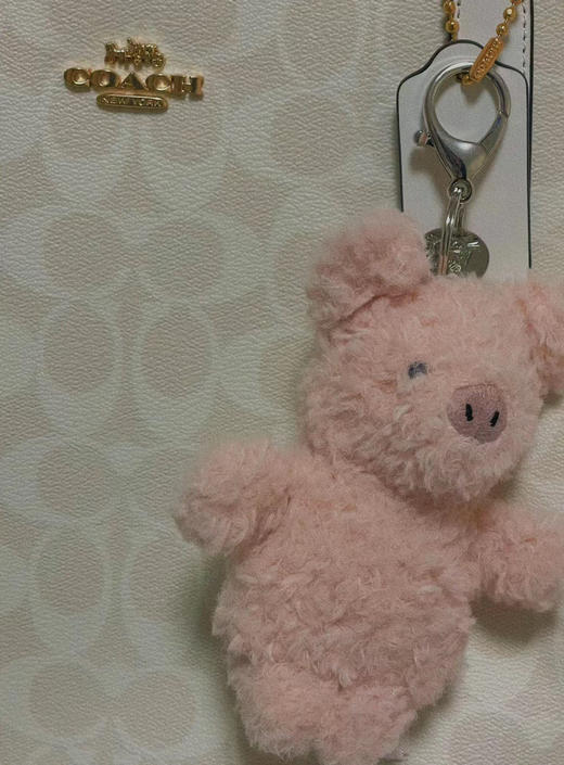 jellycat猪猪挂件~爱不释手的小猪猪~ 商品图12