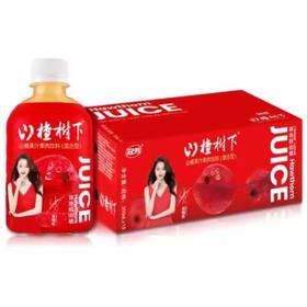 冠芳 山楂树下 山楂果汁果肉饮料350ml*15/箱