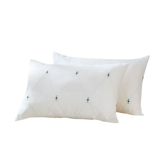 罗莱  依莎抗菌对枕47*73cm 商品图1