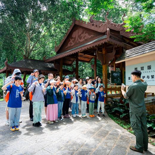 寒假亲子游学 | 西双版纳丛林王国里的人与自然 6天5晚 家庭2-4人套餐 商品图2