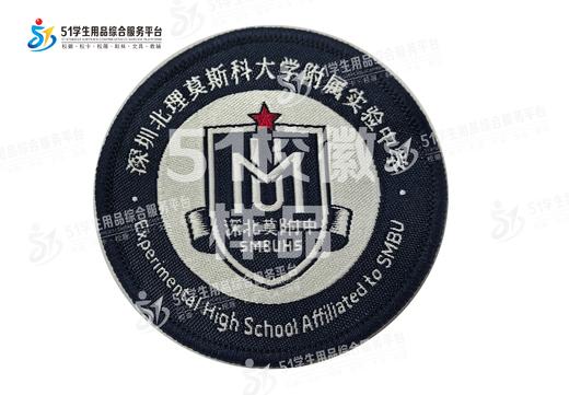 通版深圳北理莫斯科大学附属实验中学校徽姓名贴章可缝烫现货发51 商品图0