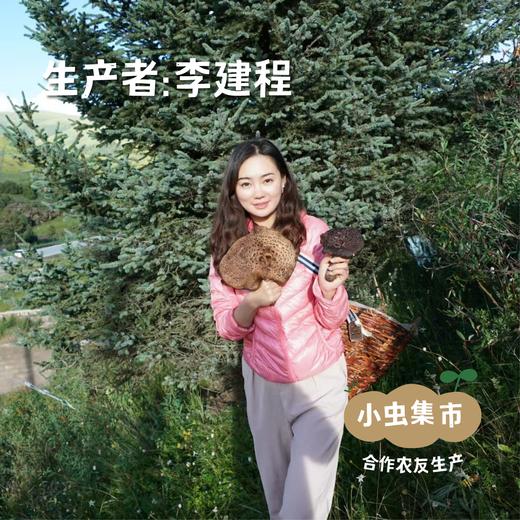 高原野生黄芪 | 合作农友生产，产自四川甘孜雪山高原，生产者：李建程 &【公平贸易农人定价】 商品图2