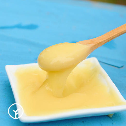 【拍2瓶减40元】检测SGS298项农残等0检出  匠心之选 密林深处蜂王浆 即采即冻 源头保鲜 有特殊香味 味酸涩辛辣250g/瓶 商品图4