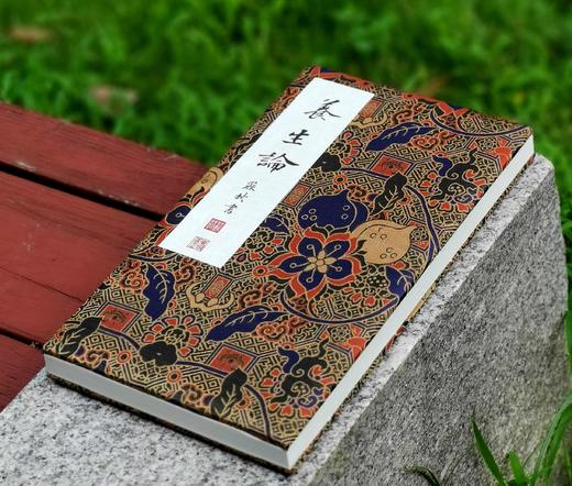 苏轼书嵇康《养生论》，线装，六合函套，经折装一册，晋 嵇康著，苏东坡书，武国忠评注，中国书店2014年一版一印，定价680，售价442元 商品图4