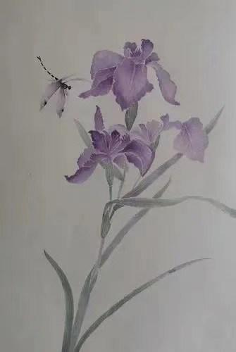 紫菂~T恤HJ3T57 商品图6