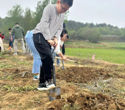 森林课堂｜大杏金黄小麦熟，堕巢乳鹊拳新竹之2024-2025小麦系列课 商品图3