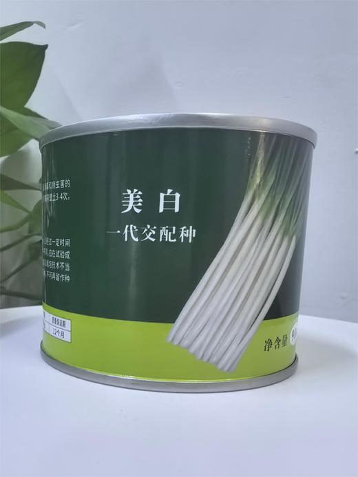 【种子】美白 商品图1