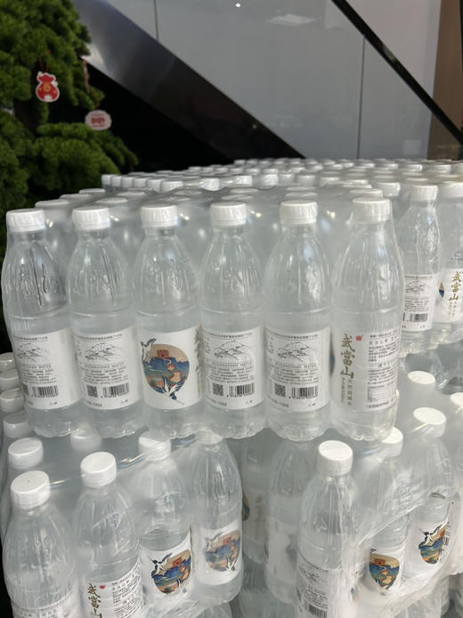 武当山天然弱碱水550ml 商品图0