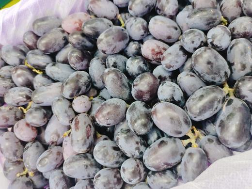 黑加仑葡萄一箱 商品图0