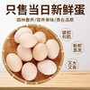 林下散养土鸡蛋 吃五谷杂粮虫子青草 营养丰富 商品缩略图1