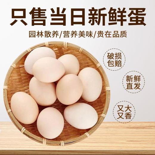 林下散养土鸡蛋 吃五谷杂粮虫子青草 营养丰富 商品图1
