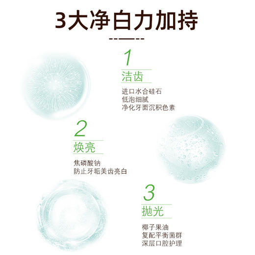 【第六季怡然冰清椰子油牙膏】Six Seasons马来西亚进口 无氟去渍去口臭 精研配方 清爽口腔 预防龋齿 强健牙齿 护理薄荷香套装  送牙线or舌苔刷 商品图3