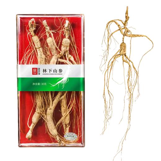 热销J【林下参亚克力装】长白山人参林下山参带林下参深山密林生长 商品图6