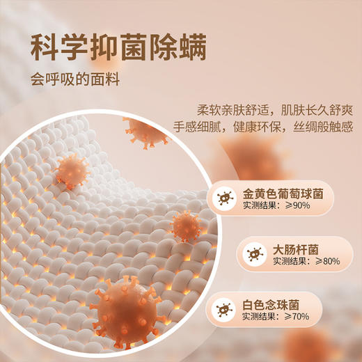 艾草生命磁纤维抗菌保暖打底背心女带胸垫免穿文胸薄款固定杯内衣 商品图3