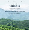 天士力牌卓清速溶茶 10g（1g*10） 辅助降血糖，辅助降血脂 商品缩略图6