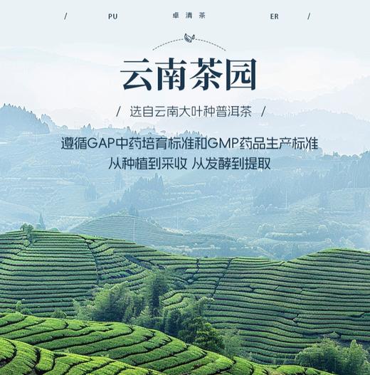 天士力牌卓清速溶茶 10g（1g*10） 辅助降血糖，辅助降血脂 商品图6