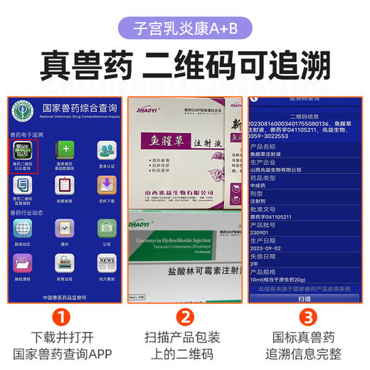 母猪产后消炎套装 林可霉素 鱼腥草注射液子宫内膜炎混合感染兽用 商品图3