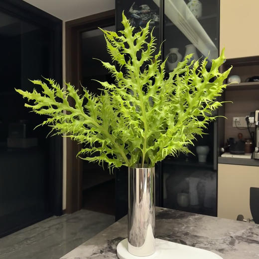 配花-凤尾蕨-10支 商品图0