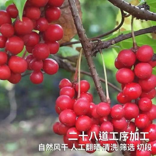 五味子夜间睡眠枕颈椎枕枕芯享优乐枕头隔离层酒店成人学生枕 商品图3