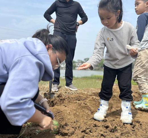 森林课堂｜大杏金黄小麦熟，堕巢乳鹊拳新竹之2024-2025小麦系列课 商品图4