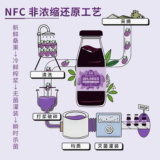 圣桑 100%桑椹原浆8瓶*100ml 纯果鲜榨 酸甜可口 商品图2