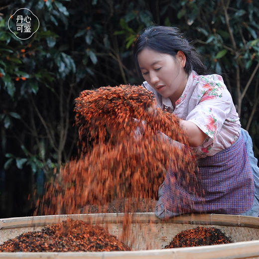 【桂花红茶•蒲城】千年丹桂之乡  全新包装4g*15包共60g 商品图5