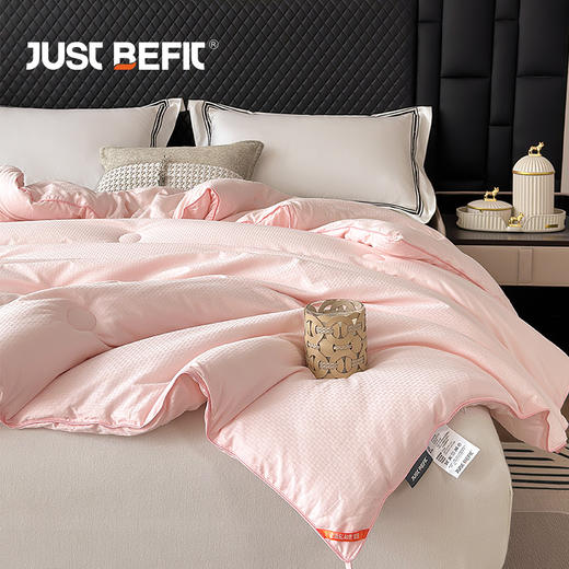 【品牌直发】加倍生活  全新升级全棉蚕丝被 杭州丝棉被冬被 商品图4