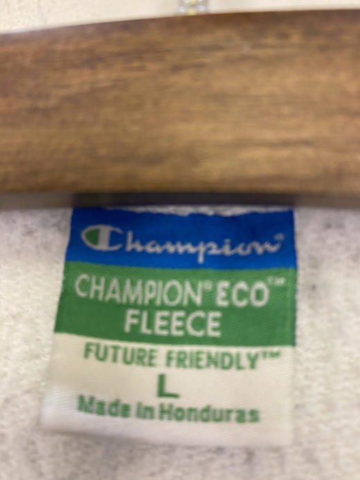 Y2K Vintage Champion 冠军 卫衣 _SLSS(L) 商品图2