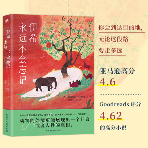 伊希永远不会忘记 商品图0