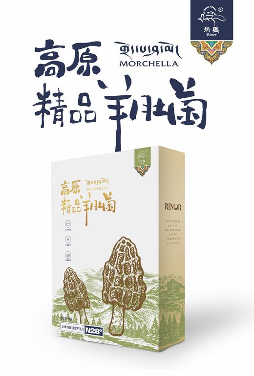 精品羊肚菌40g 商品图0