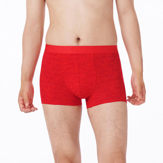 都市丽人都市锋尚内裤潮流时尚平角裤50S棉拉架男士内裤FKTCH2 商品图1