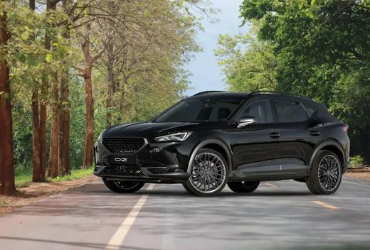 意大利进口OZ Racing旋压铸造 Gran Turismo HLT 19/20寸 商品图13