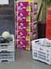 品牌新疆 库尔勒香梨 【整件】 商品缩略图1
