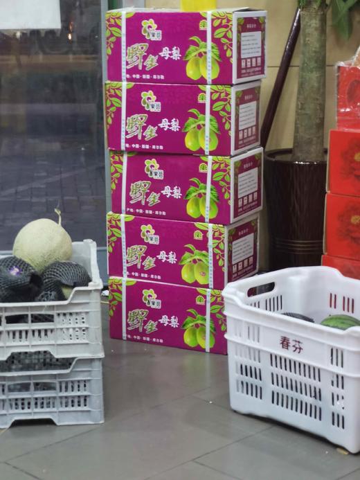 品牌新疆 库尔勒香梨 【整件】 商品图1