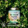 【拍2瓶减40元】检测SGS298项农残等0检出  匠心之选 密林深处蜂王浆 即采即冻 源头保鲜 有特殊香味 味酸涩辛辣250g/瓶 商品缩略图1