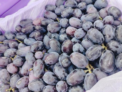 黑加仑葡萄一箱 商品图2