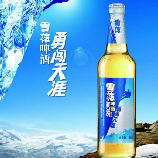 雪花勇闯(瓶) 商品图0