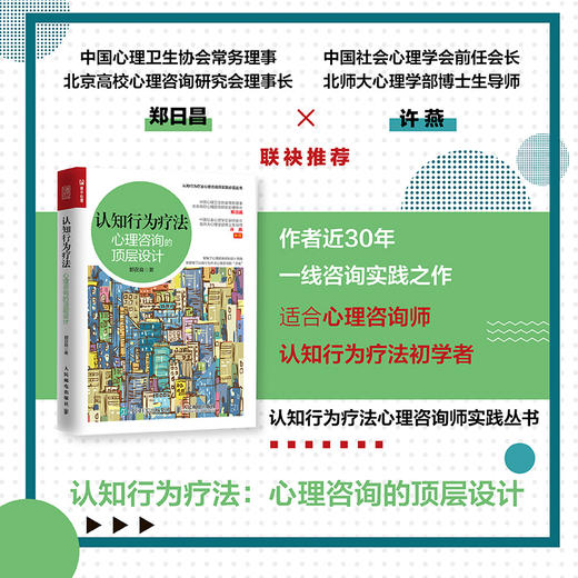 认知行为疗法 心理咨询的顶层设计 郭召良著认知行为疗法心理咨询师实践丛书亚伦贝克认知行为疗法入门进阶 商品图0