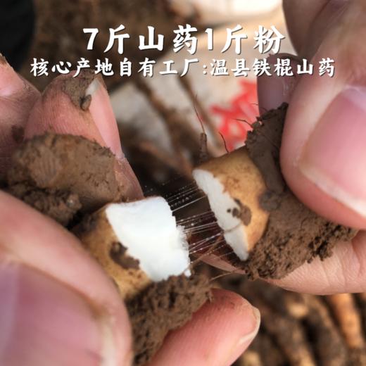  【怀山药粉】营养丰富，味道纯正，为健康助力。让你告别肠胃困扰，畅享美好生活! 商品图1