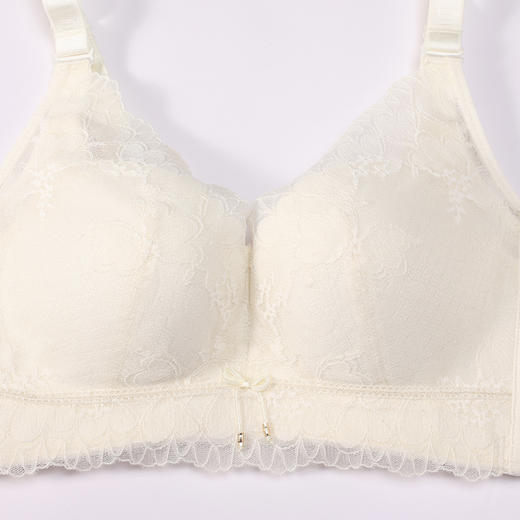 都市丽人调整型内衣舒软挺塑塑身文胸蕾丝A:加加厚B:中厚塑身内衣3/4杯四排扣LJT4H5 商品图4